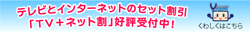 TV+ネット割
